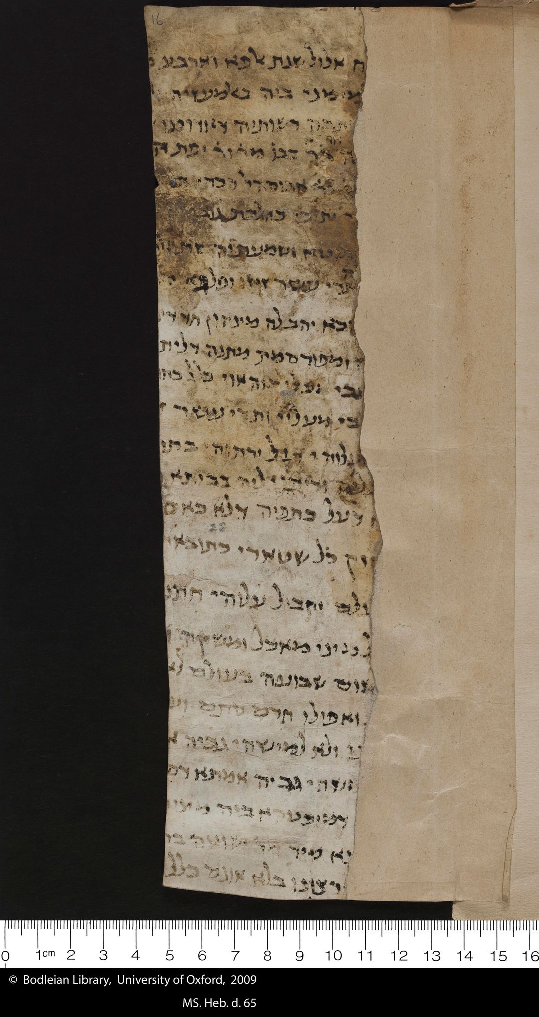 Marriage contract fragment