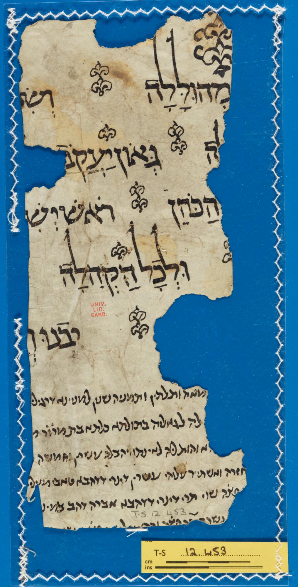 Ornate marriage contract fragment